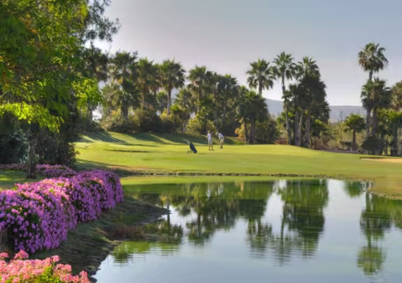 Image Golf Las Americas